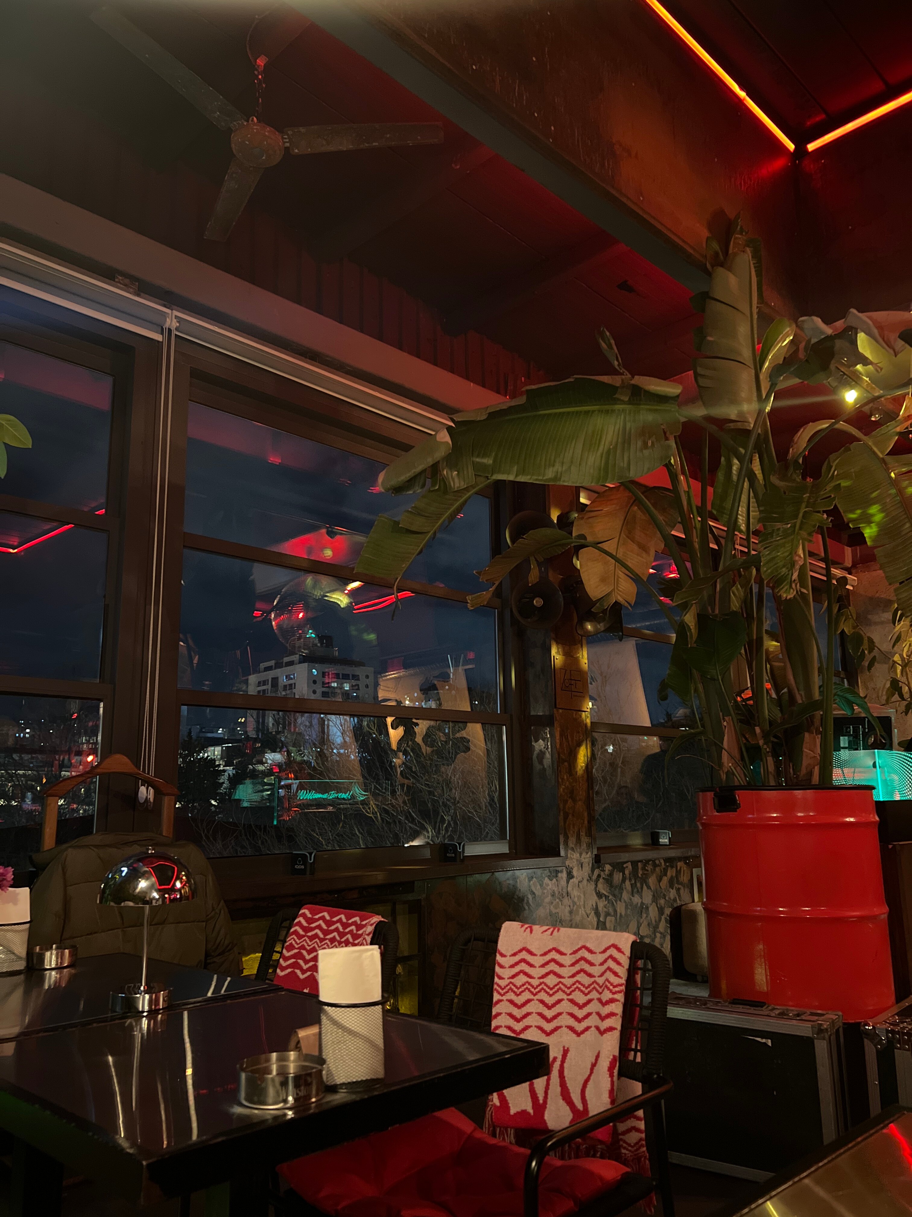 Tropical plants, red lights and city-facing windows inside 4Loft